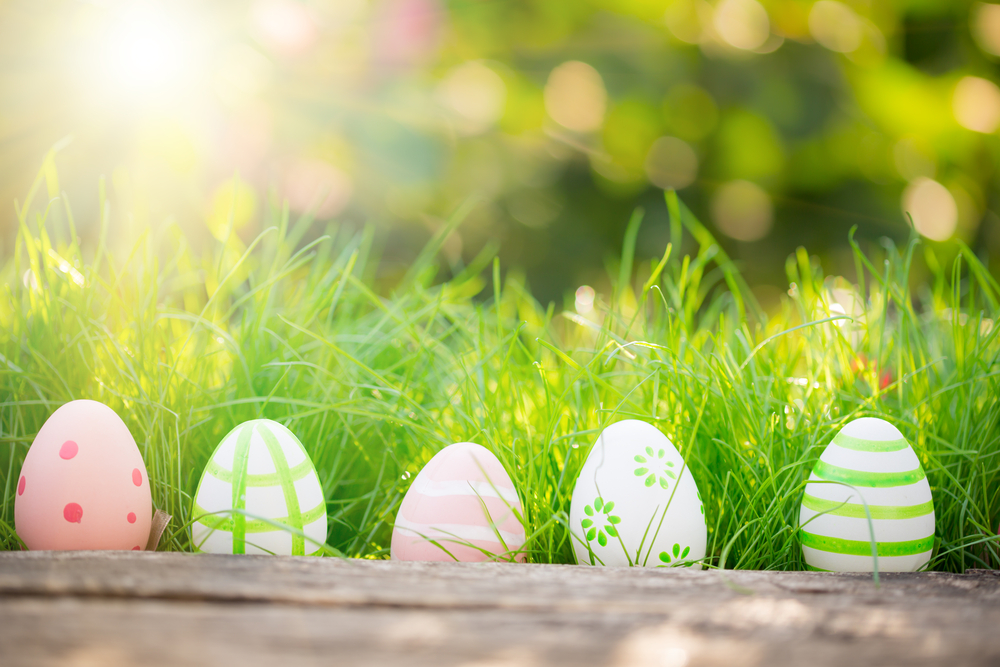 Easter Eggs in green grass with sun shining, beautiful Spring day