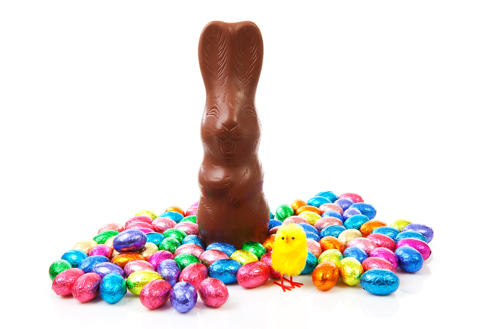 chocolate Easter bunny surrounded by colorfully wrapped chocolate eggs and fluffy yellow chick in front of the bunny