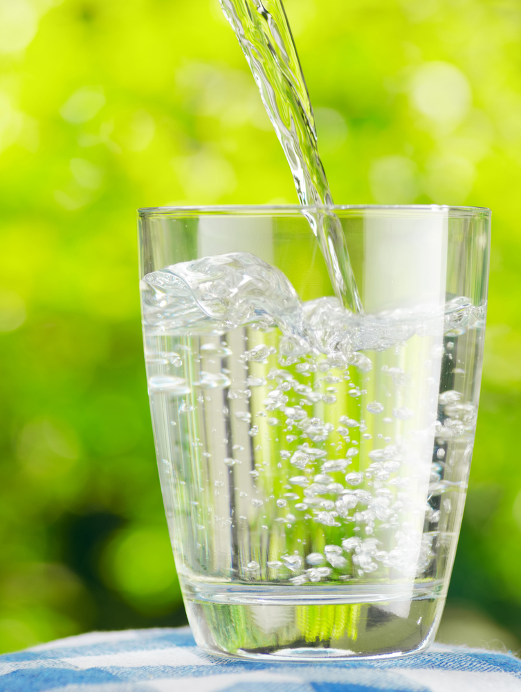 Water being poured into clear glass on blue and white checkered table cloth on a sunny day with beautiful trees in the background