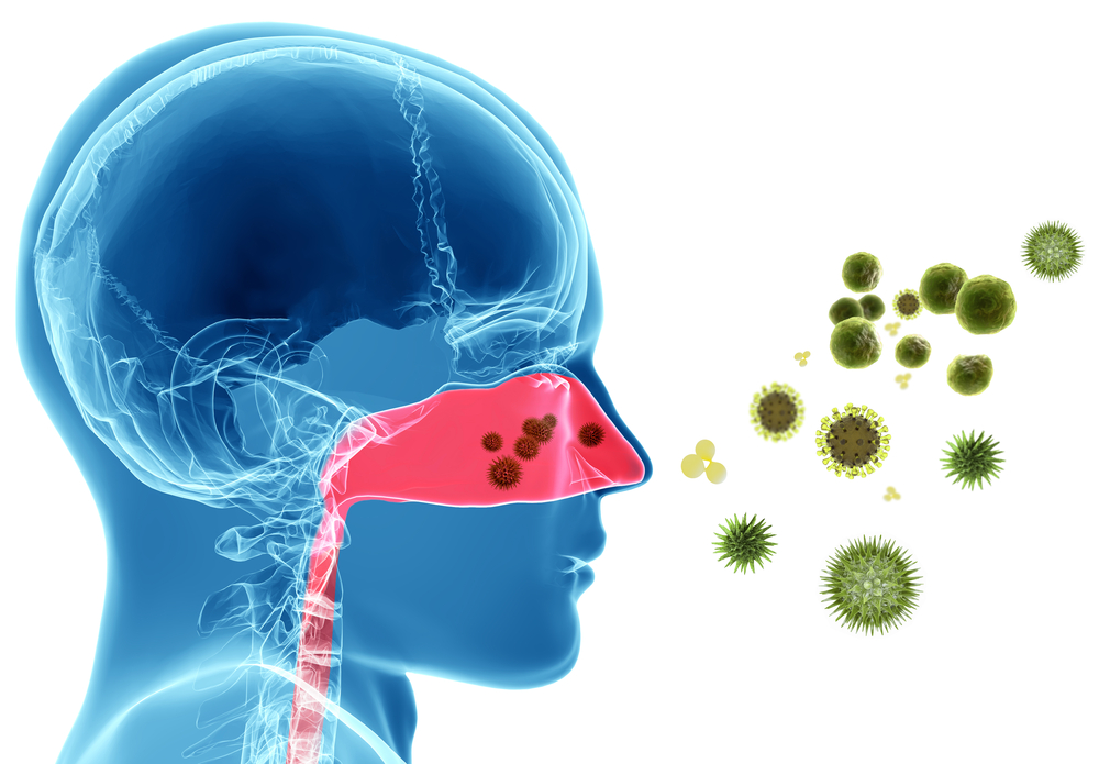 graphic that shows pollen entering the sinus cavities