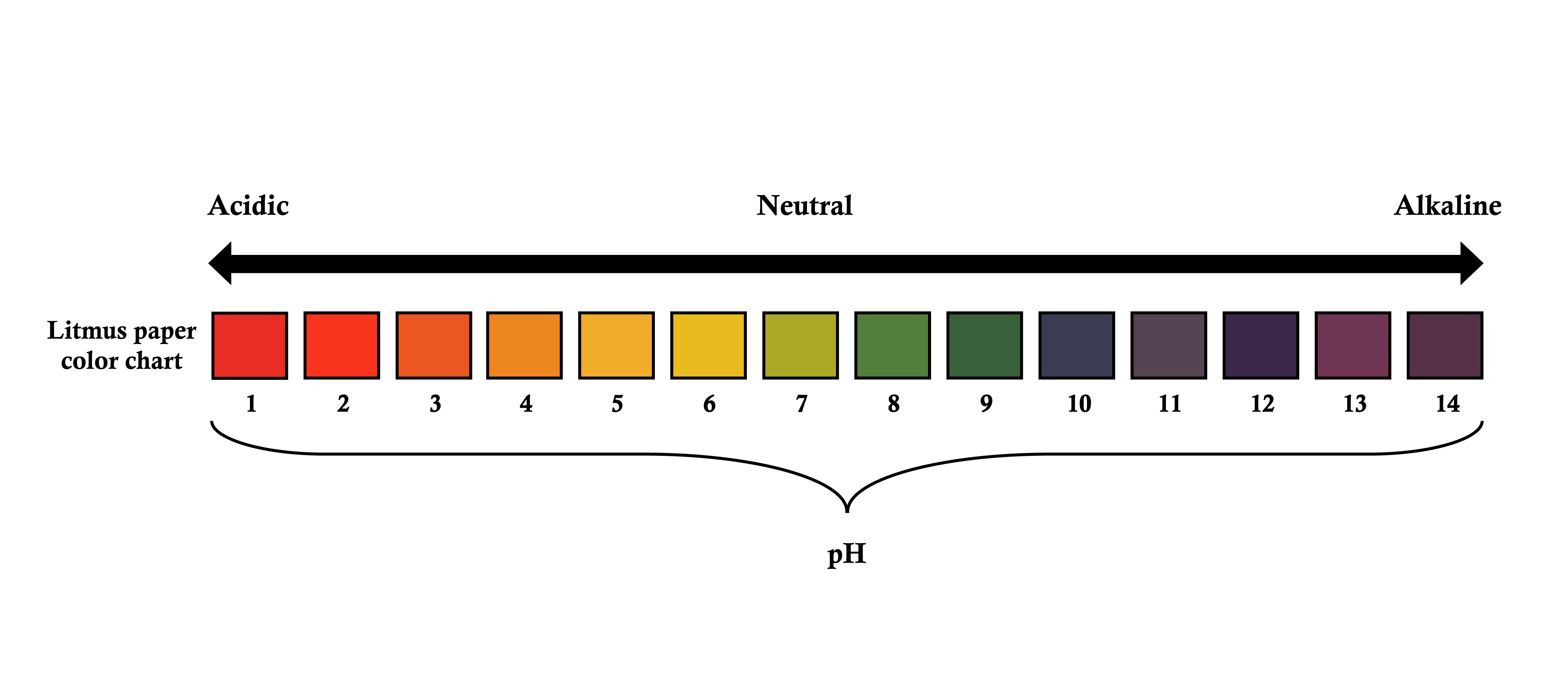 shows a standard ph scale for testing the acidity//chlorine of pool water 