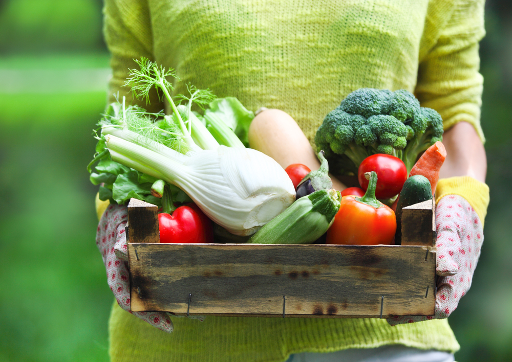 woman holding box of organic vegetables: broccoli, tomatoes, peppers