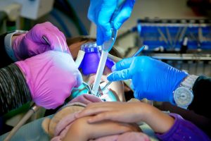 A little girl clutches a stuffed bear while getting cavities filled. Two dentists hands work in her mouth with pink and blue gloves.