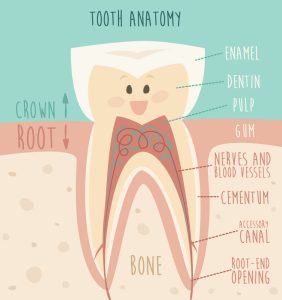 Sensitive Teeth Why Must Ice Cream Hurt Me Greenspoint Dental Houston Dentist